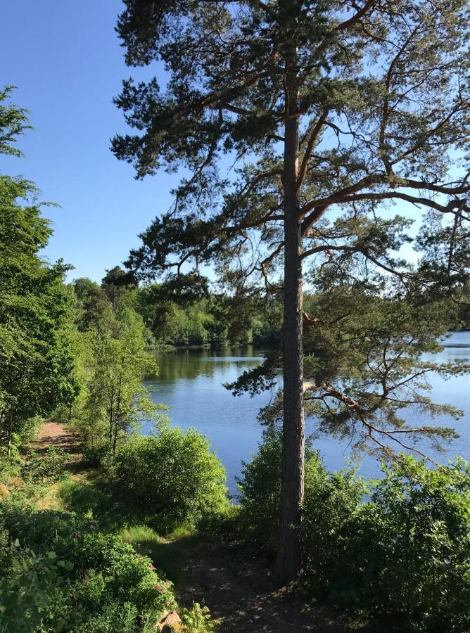 Stenhaella Bed&Breakfast Holmsjö Kültér fotó